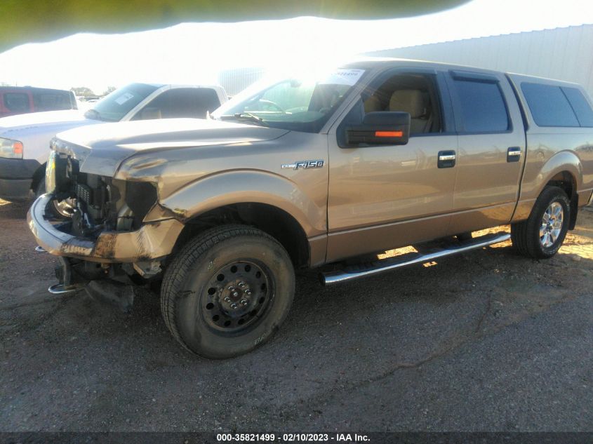 2013 FORD F-150 XL/XLT/FX4/LARIAT 1FTFW1EF1DKF25459