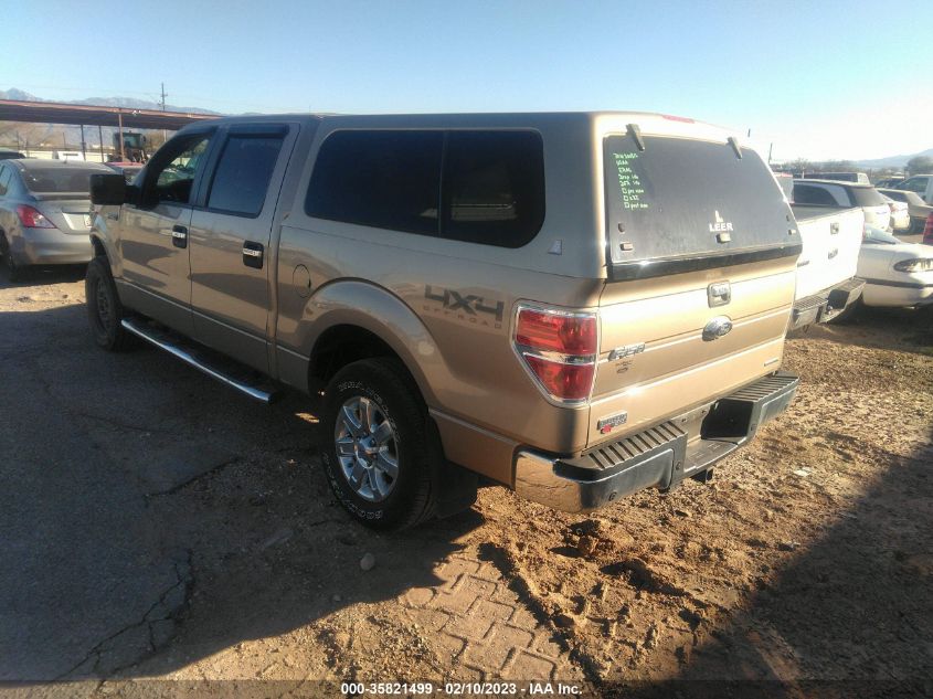 2013 FORD F-150 XL/XLT/FX4/LARIAT 1FTFW1EF1DKF25459