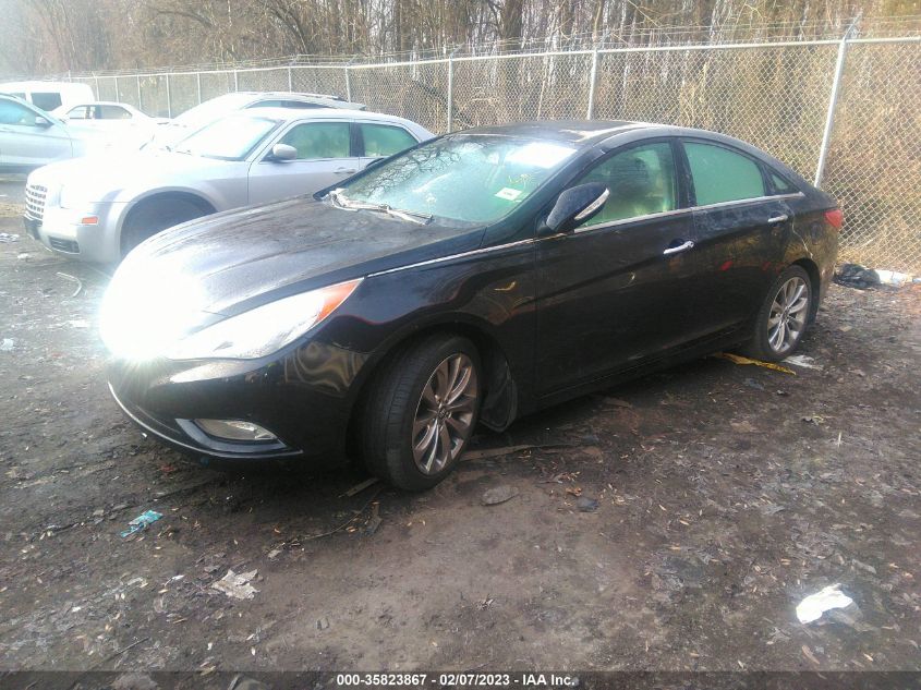 VIN 5NPEC4AB9DH504396 2013 HYUNDAI SONATA no.2