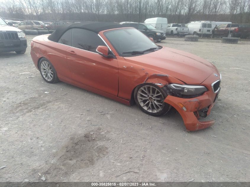 2015 BMW 2 SERIES 228I XDRIVE - WBA1K7C5XFV473265