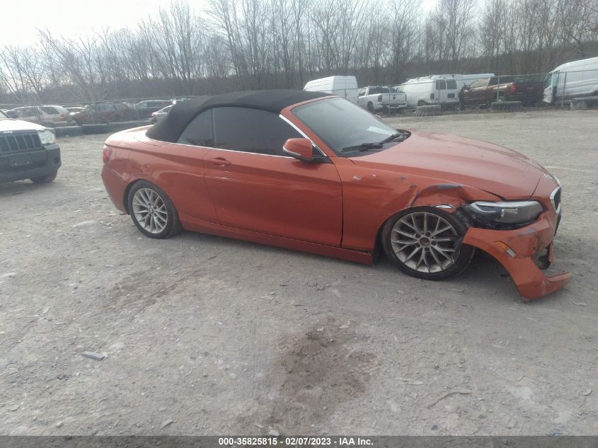 2015 BMW 2 SERIES 228I XDRIVE - WBA1K7C5XFV473265