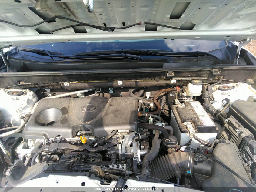 VIN JTMC1RFV0KD025736 2019 TOYOTA RAV4 XLE PREMIUM