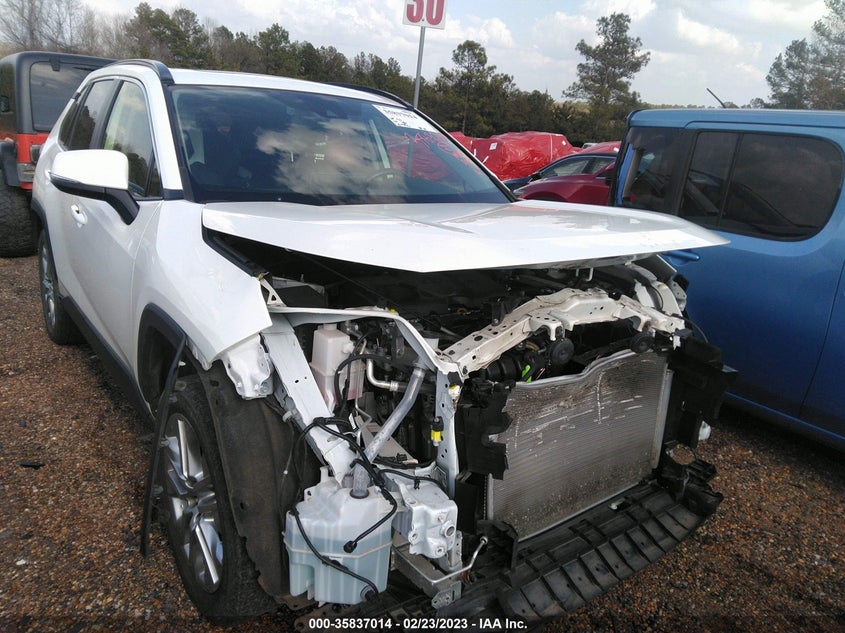 VIN JTMC1RFV0KD025736 2019 TOYOTA RAV4 XLE PREMIUM