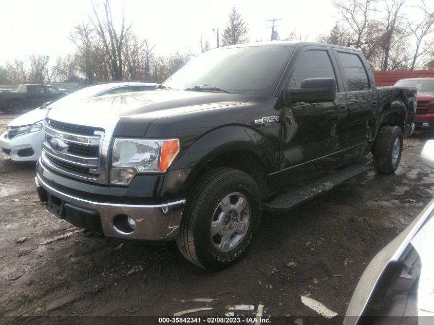 2014 FORD F-150 XL/XLT/STX/FX4/LARIAT 1FTFW1EF3EKG37715