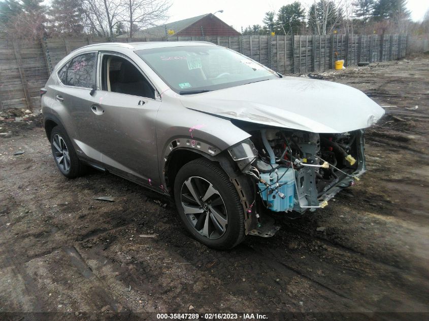 JTJBJRBZ6J2095589 LEXUS NX NX 300H 2018