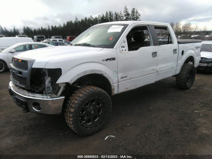 2013 FORD F-150 XL/XLT/FX4/LARIAT - 1FTFW1ET6DFC58494