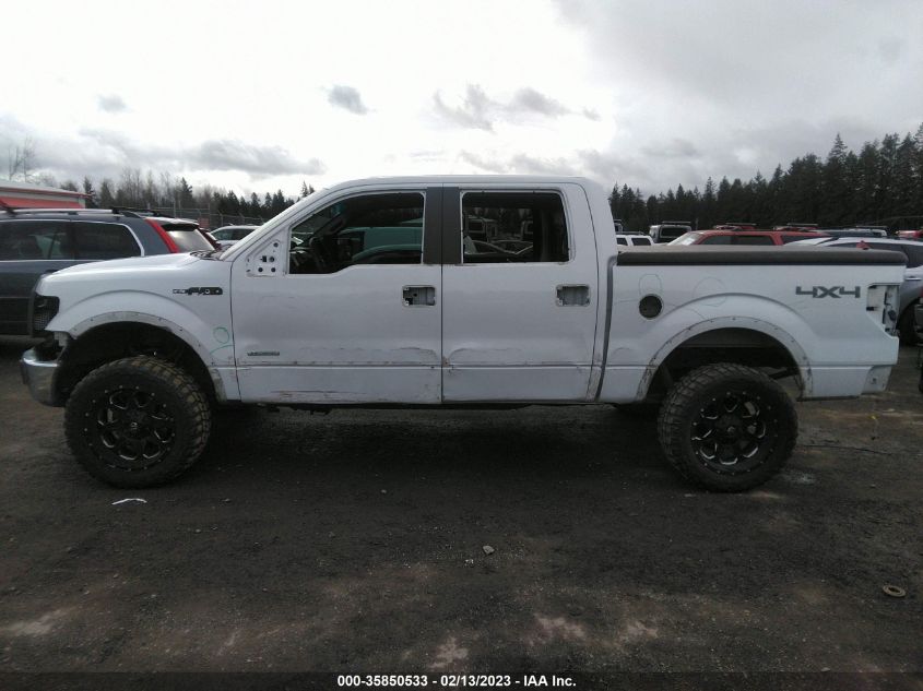 2013 FORD F-150 XL/XLT/FX4/LARIAT - 1FTFW1ET6DFC58494