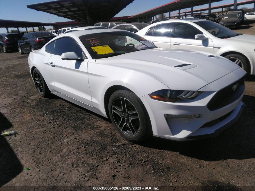 2019 FORD MUSTANG ECOBOOST - 1FA6P8TH7K5172057