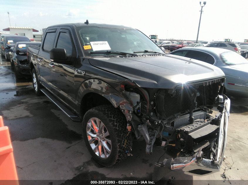 2019 FORD F-150 XL/XLT/LARIAT - 1FTEW1CP6KKC84745