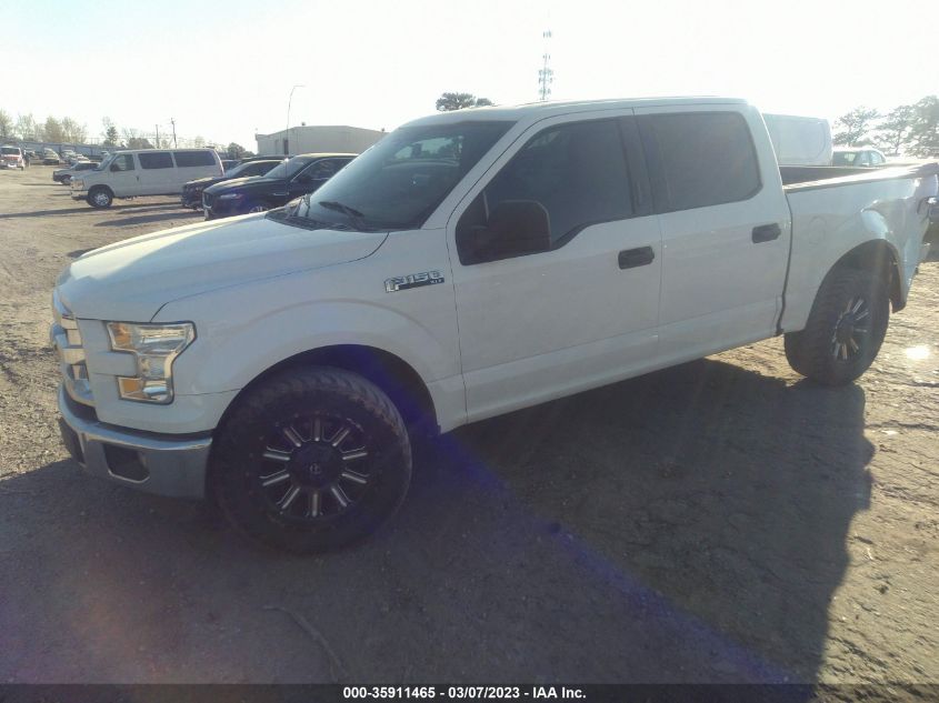 2015 FORD F-150 XLT/XL - 1FTEW1C81FFA58426