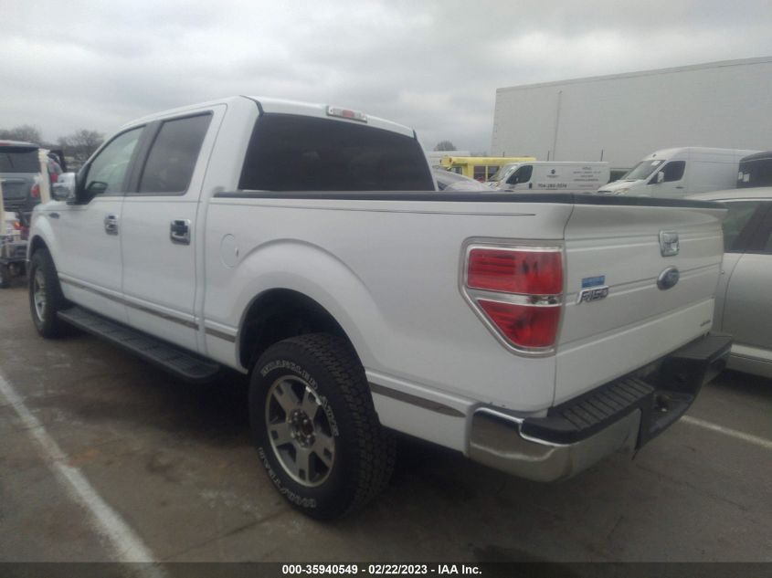 2013 FORD F-150 XL/XLT/FX2/LARIAT - 1FTFW1CF5DFA32203