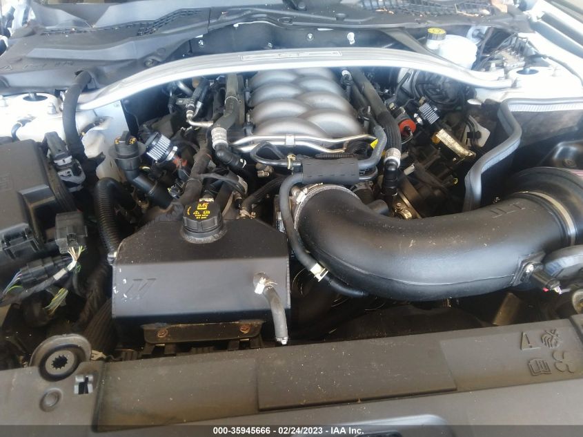 2019 FORD MUSTANG GT - 1FA6P8CF8K5117356