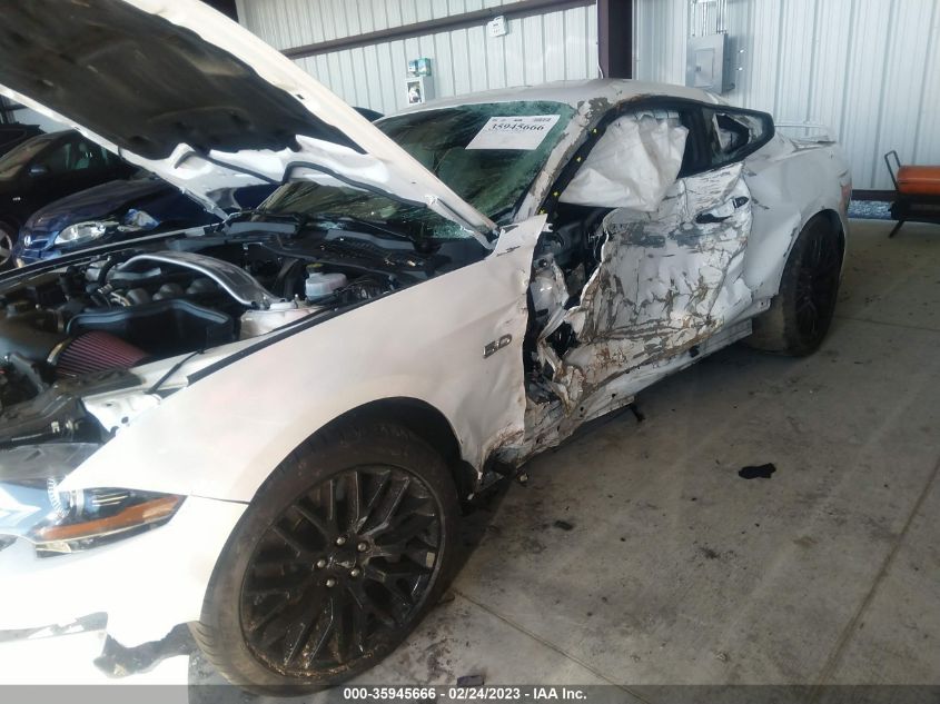 2019 FORD MUSTANG GT - 1FA6P8CF8K5117356