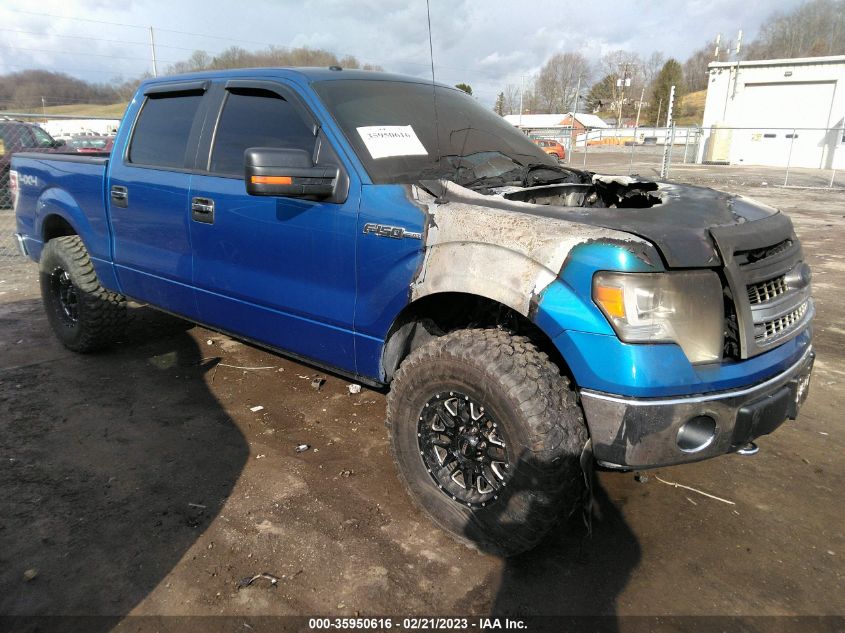 2013 FORD F-150 XL/XLT/FX4/LARIAT - 1FTFW1EF3DFC33319