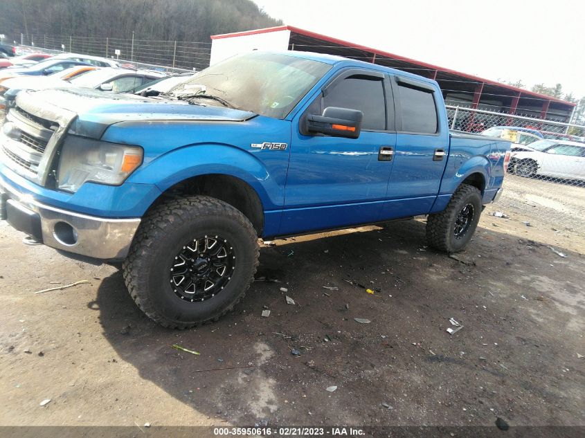 2013 FORD F-150 XL/XLT/FX4/LARIAT - 1FTFW1EF3DFC33319