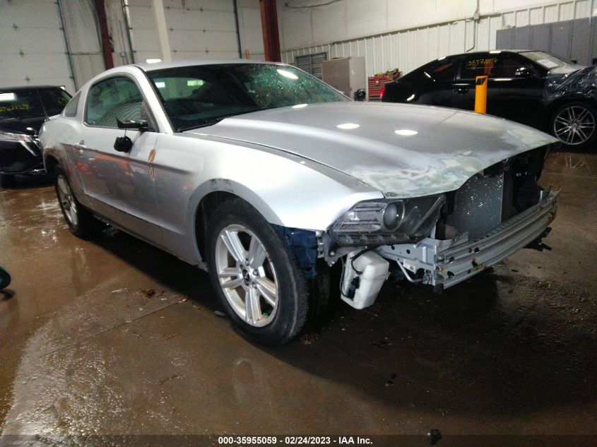 2013 FORD MUSTANG V6 - 1ZVBP8AM2D5268011