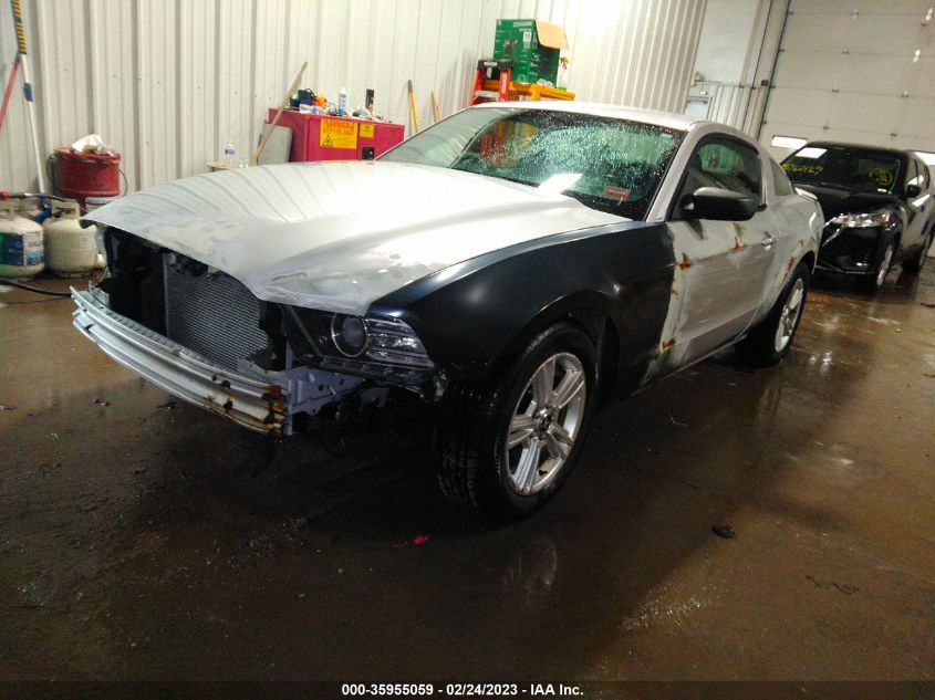 2013 FORD MUSTANG V6 - 1ZVBP8AM2D5268011