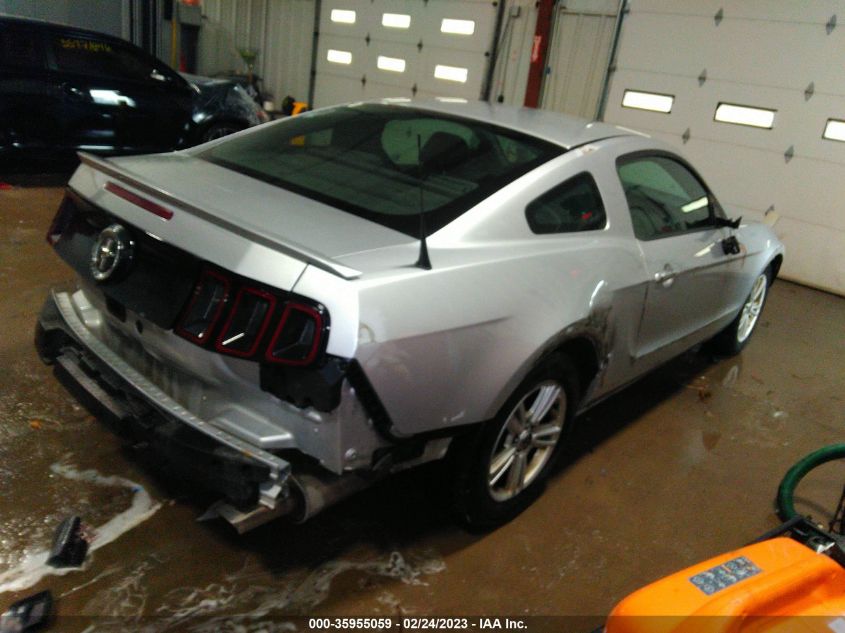 2013 FORD MUSTANG V6 - 1ZVBP8AM2D5268011