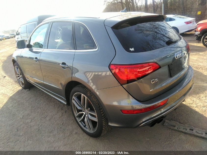 2014 AUDI SQ5 PREMIUM PLUS WA1CGAFPXEA126249