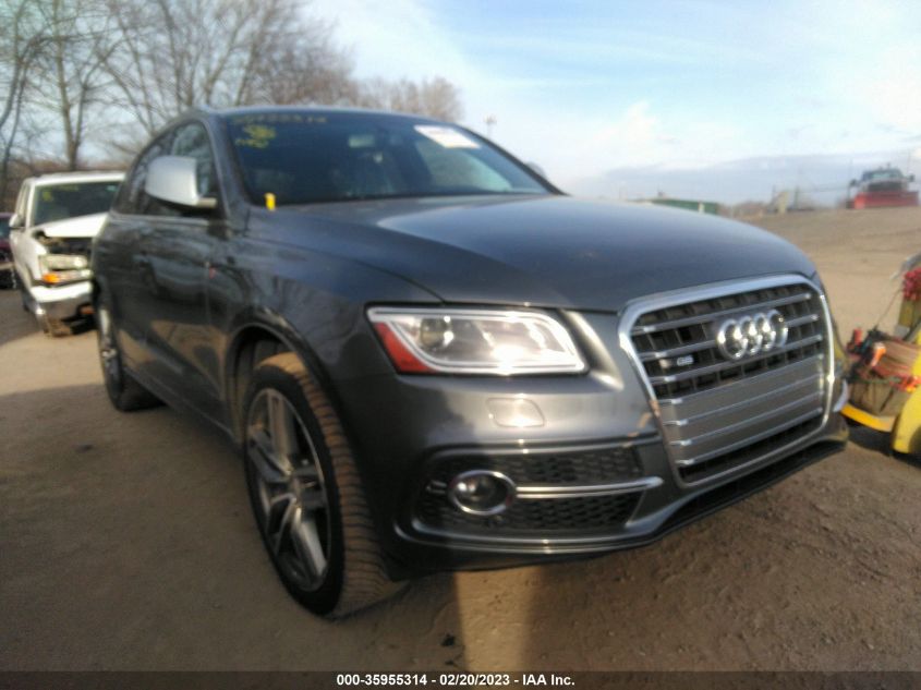 2014 AUDI SQ5 PREMIUM PLUS WA1CGAFPXEA126249