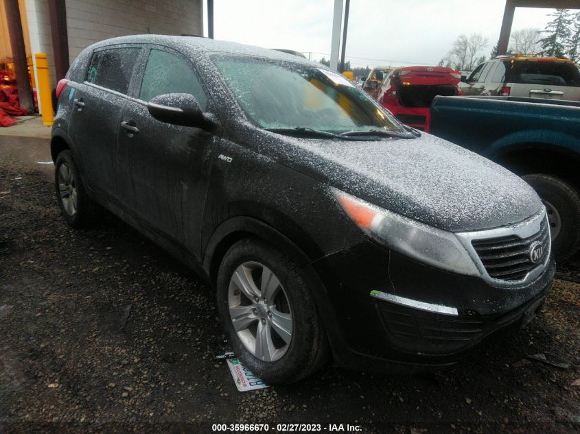2013 KIA SPORTAGE LX - KNDPBCA25D7355348