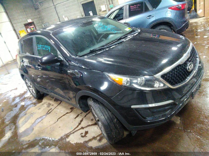 2014 KIA SPORTAGE LX - KNDPBCAC4E7641346