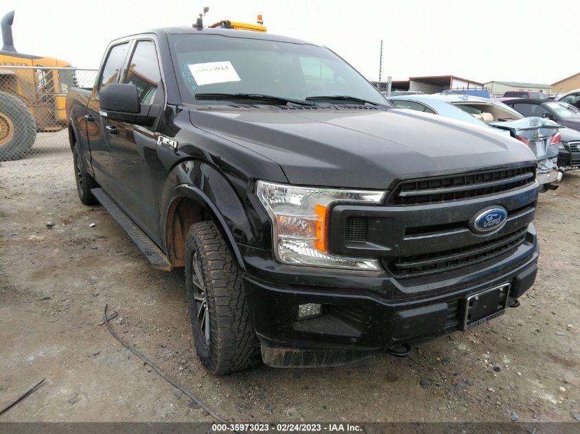 2019 FORD F-150 XL/XLT/LARIAT - 1FTFW1E51KFB35653