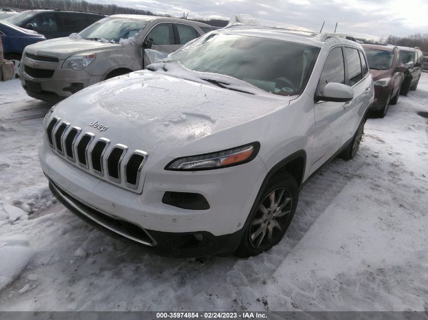 2014 JEEP CHEROKEE LIMITED - 1C4PJMDS6EW168289