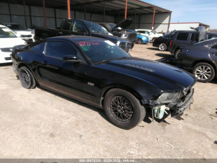 2014 FORD MUSTANG GT - 1ZVBP8CF5E5265846