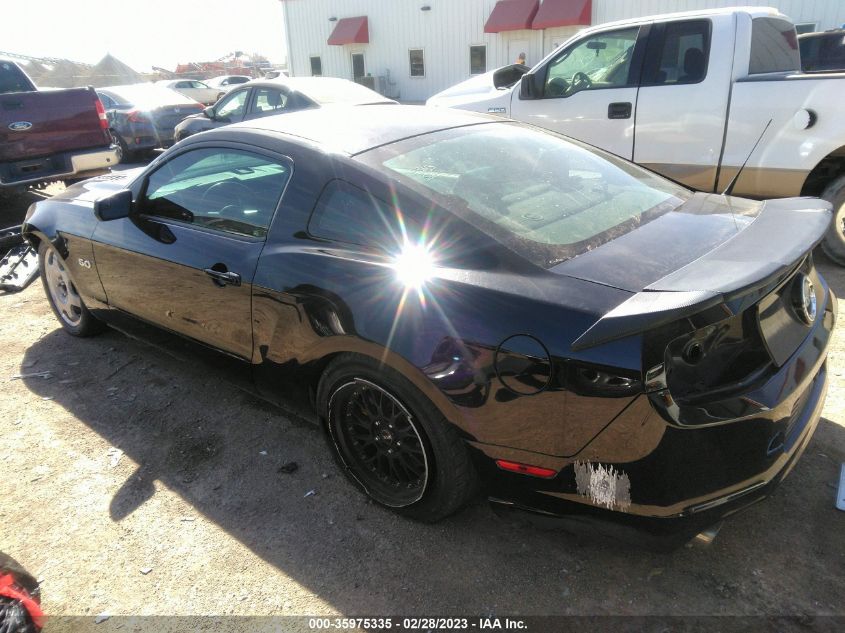 2014 FORD MUSTANG GT - 1ZVBP8CF5E5265846