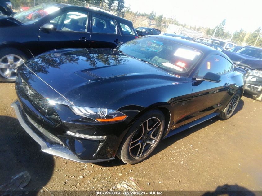 2019 FORD MUSTANG GT - 1FA6P8CF0K5119201