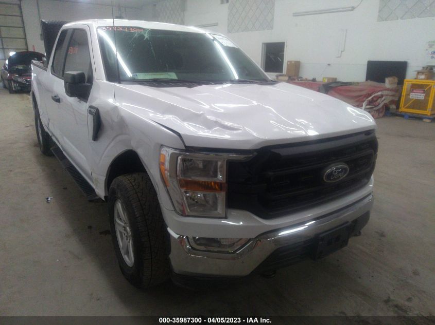 2021 FORD F-150 XL/XLT/LARIAT - 1FTFX1E51MKE56356