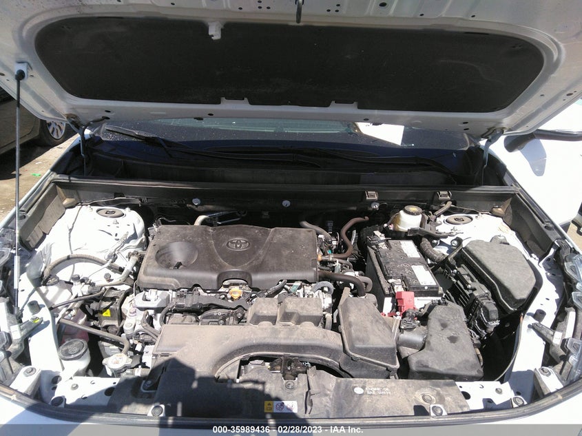 VIN 2T3W1RFV4NC174804 2022 TOYOTA RAV4 XLE