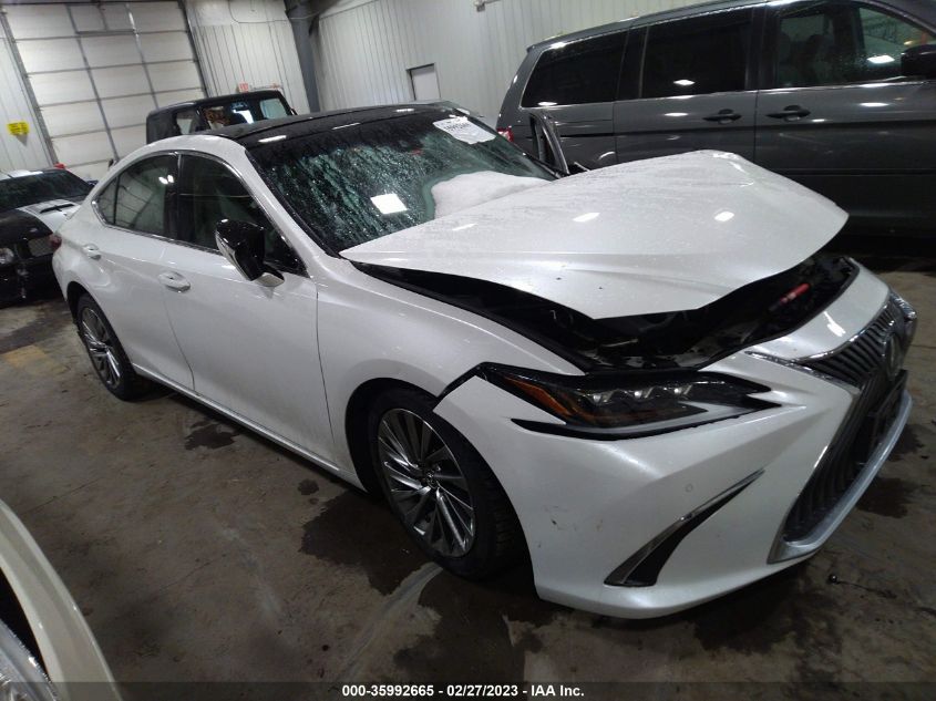 2019 LEXUS ES ES 350 - 58ABZ1B18KU018756
