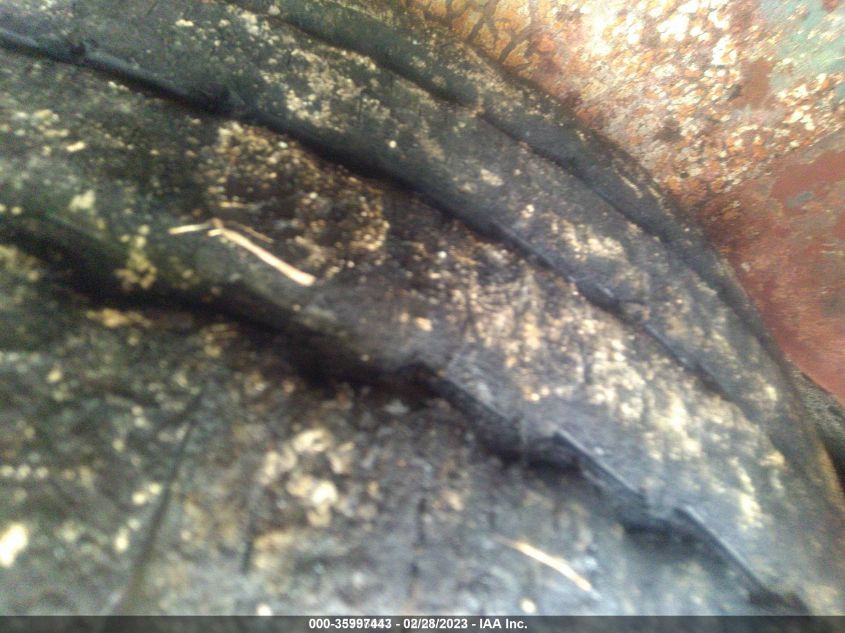 2019 MERCEDES-BENZ SPRINTER - WDAPF1CD6KT007430