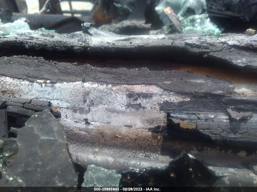 2019 MERCEDES-BENZ SPRINTER - WDAPF1CD6KT007430