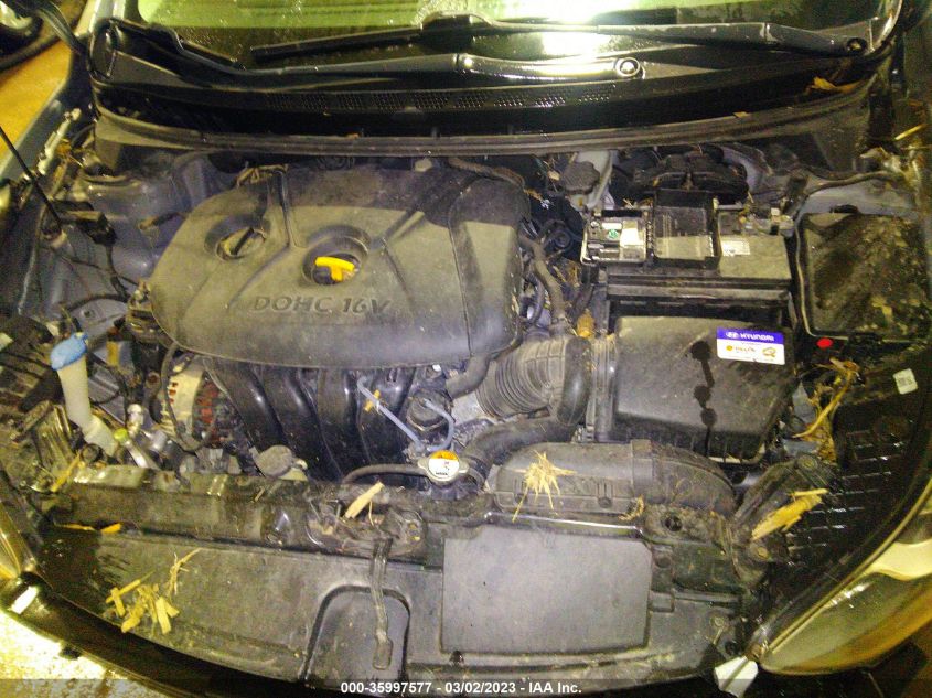2013 HYUNDAI ELANTRA COUPE GS - KMHDH6AE0DU023280