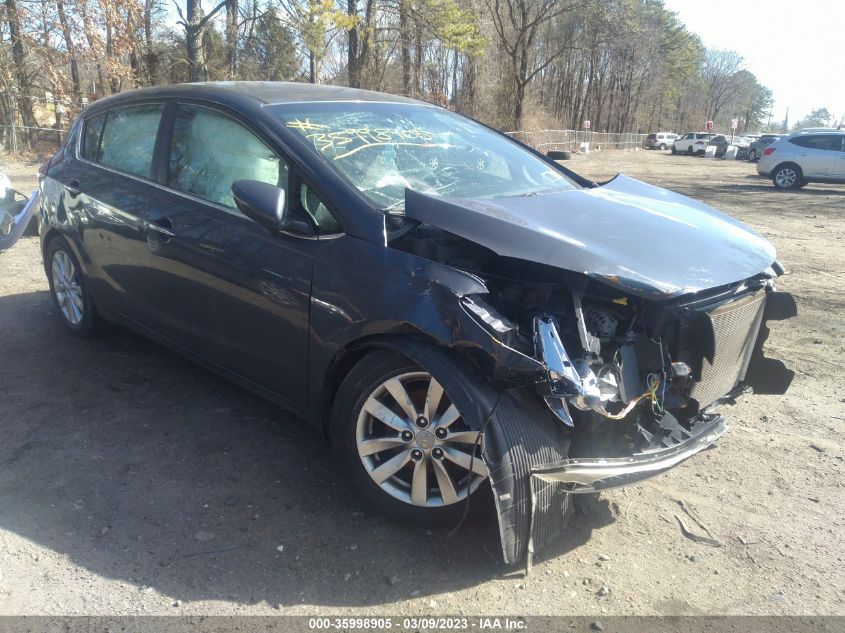 2015 KIA FORTE 5-DOOR EX - KNAFX5A80F5310990