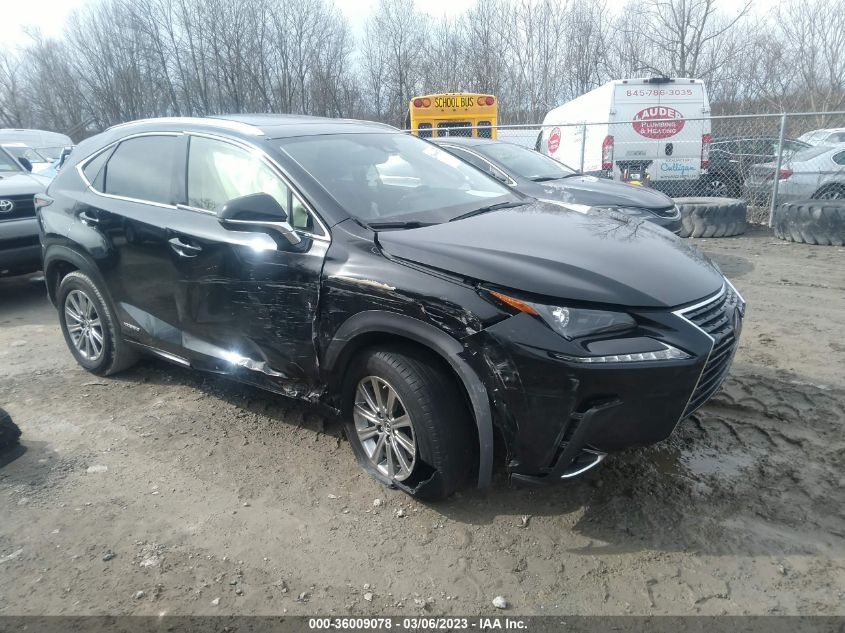 2021 LEXUS NX NX 300H - JTJDJRDZ5M2153184