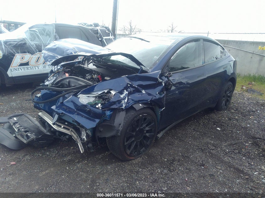 VIN 7SAYGAEE3NF555125 2022 TESLA MODEL Y LONG RANGE