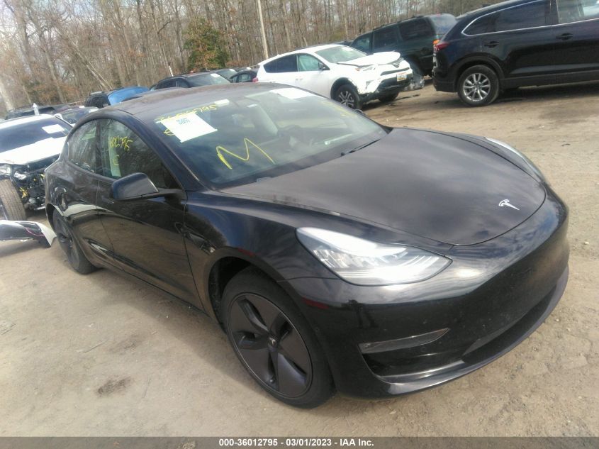 2019 TESLA MODEL 3 RANGE - 5YJ3E1EA7KF313265