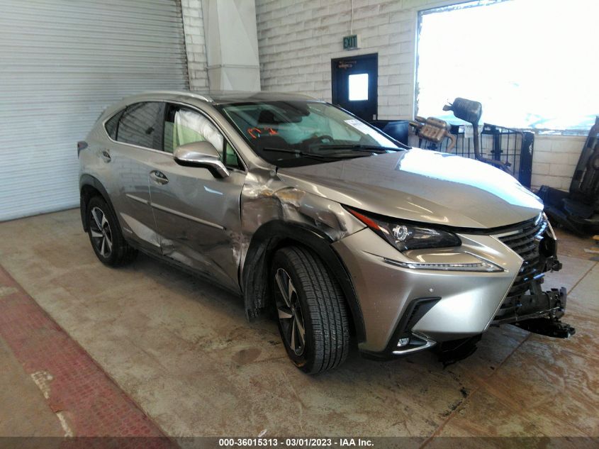 JTJGJRDZ7M2166760 LEXUS NX NX 300H 2021