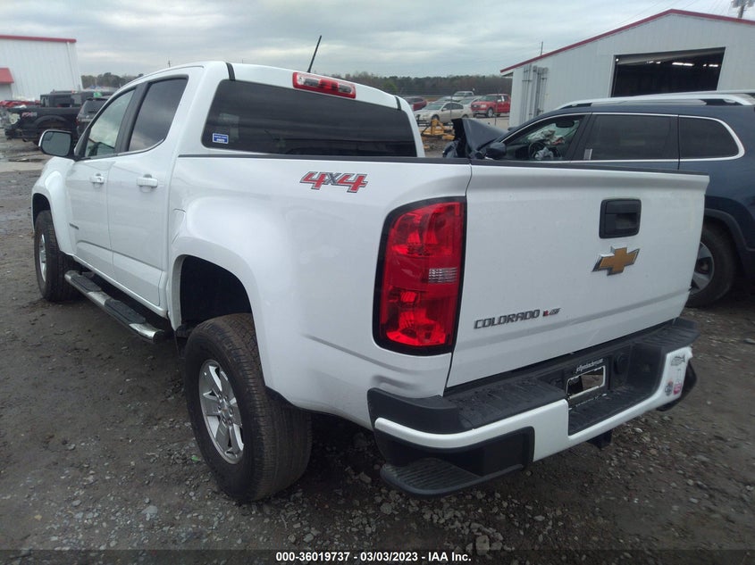 VIN 1GCGTBEN9K1163393 2019 CHEVROLET COLORADO 4WD WORK TRUCK