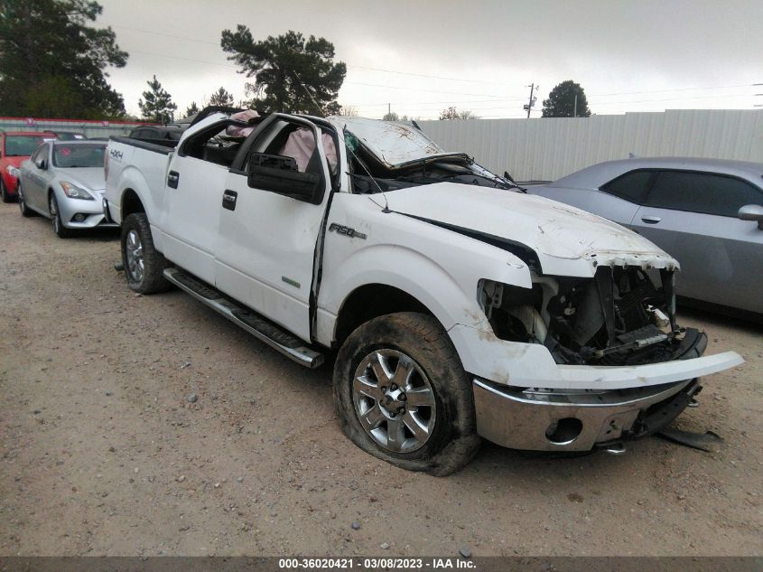 2013 FORD F-150 XL/XLT/FX4/LARIAT - 1FTFW1ET9DKE64724