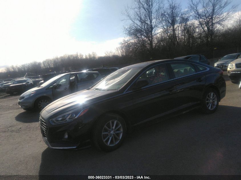 2019 HYUNDAI SONATA SE - 5NPE24AF7KH805221