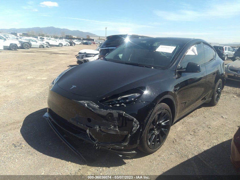 VIN 7SAYGAEE5NF556678 2022 TESLA MODEL Y LONG RANGE