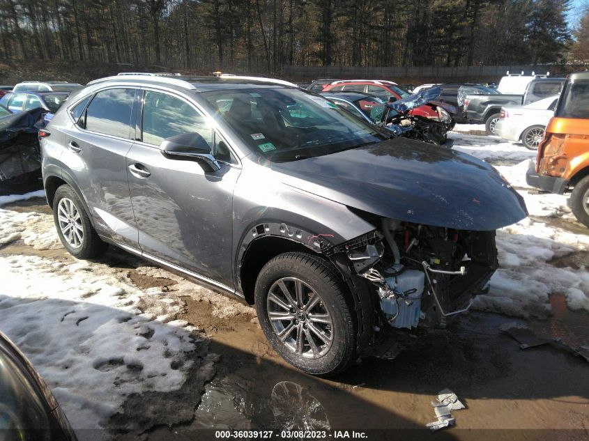 JTJDJRDZ5M2146946 LEXUS NX NX 300H 2021