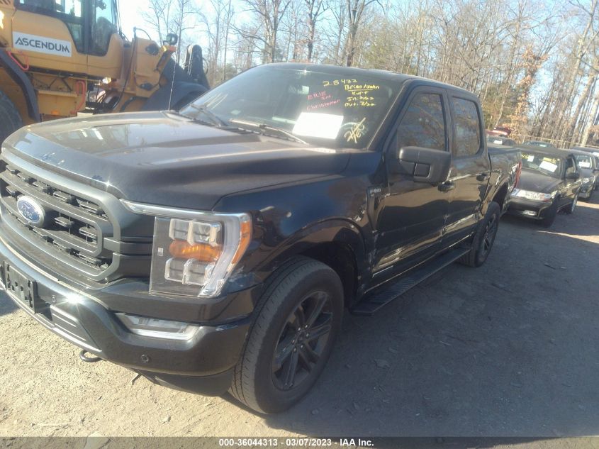 2021 FORD F-150 XL/XLT/LARIAT - 1FTFW1ED0MFC85599