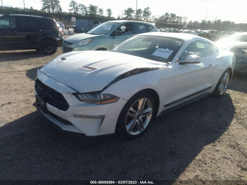 2019 FORD MUSTANG ECOBOOST - 1FA6P8TH8K5198814