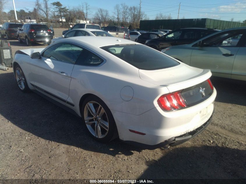 2019 FORD MUSTANG ECOBOOST - 1FA6P8TH8K5198814